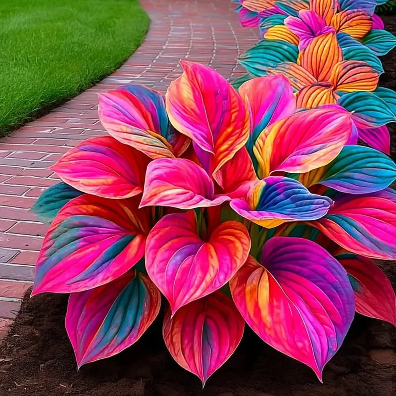 /69c0c6c0ff9960000ae96e8d/2026/04/14/product-img-69ddededf707c0639afa4737.png